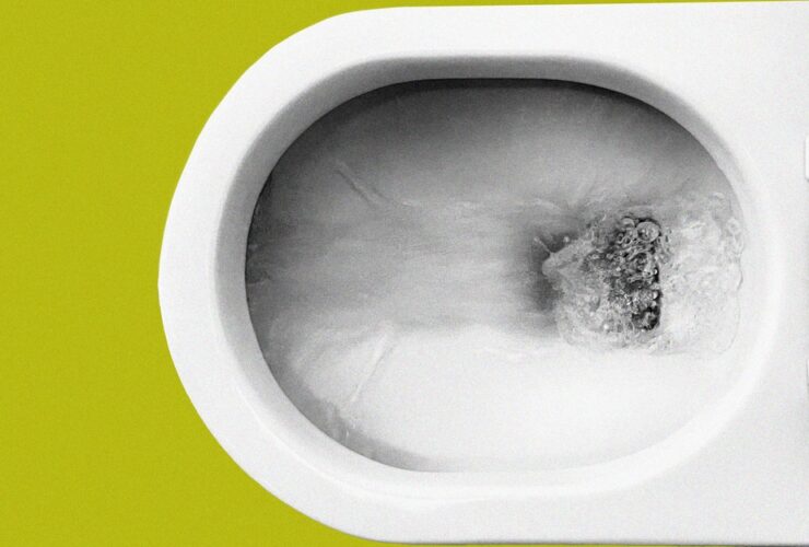 Whatever Happened to Toilet Plumes?