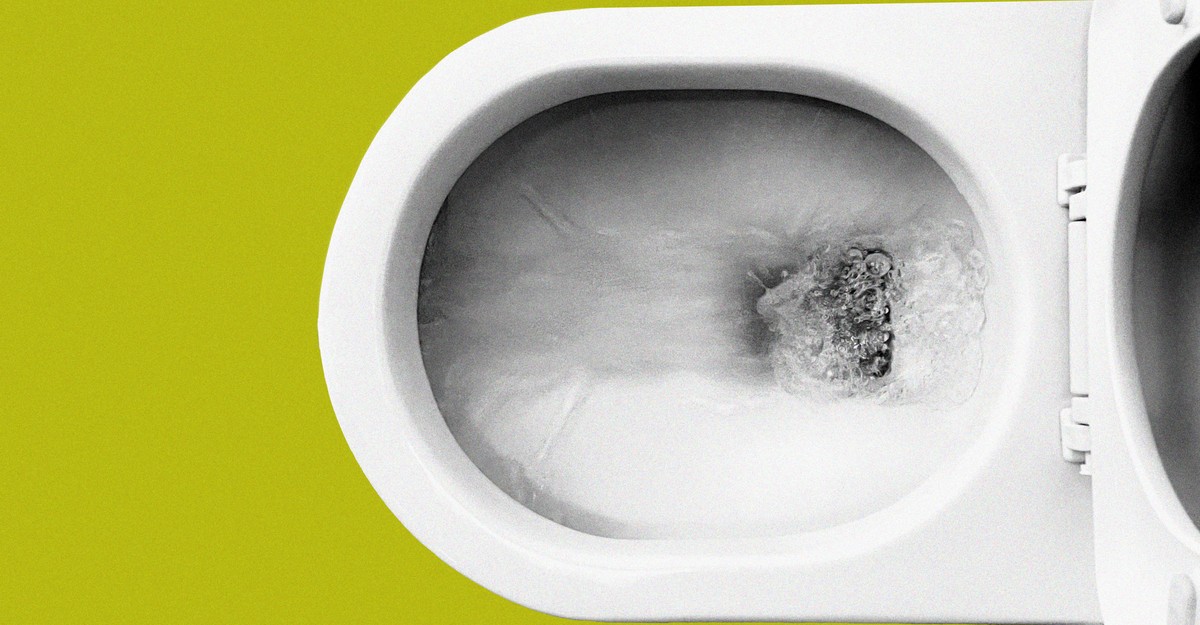 Whatever Happened to Toilet Plumes?