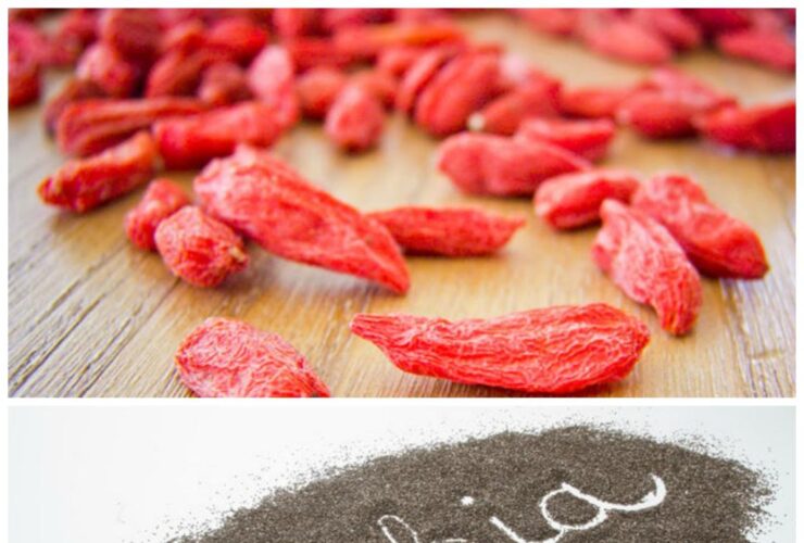 Benefits of Goji Berry and Chia