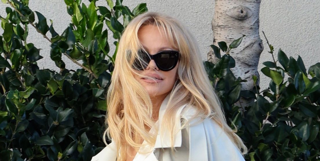 Pamela Anderson Is Having a Sexy Fashion Comeback