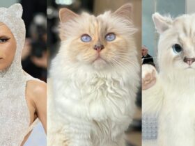 Choupette Lagerfeld Breaks Her Silence on Doja Cat and Jared Leto’s Met Gala Tributes