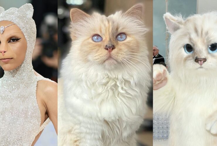 Choupette Lagerfeld Breaks Her Silence on Doja Cat and Jared Leto’s Met Gala Tributes