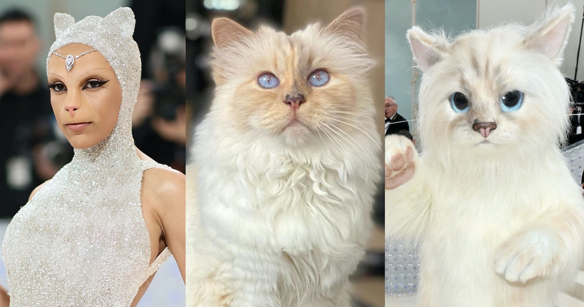 Choupette Lagerfeld Breaks Her Silence on Doja Cat and Jared Leto’s Met Gala Tributes