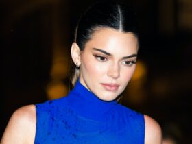 Kendall Jenner Has Found Her Signature NSFW Sheer Top