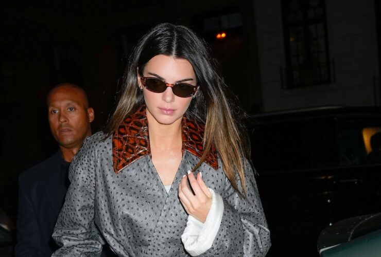 Kendall Jenner Does Blue Snakeskin Pants For Date Night