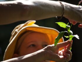 The Missing Piece of the Foraging Renaissance