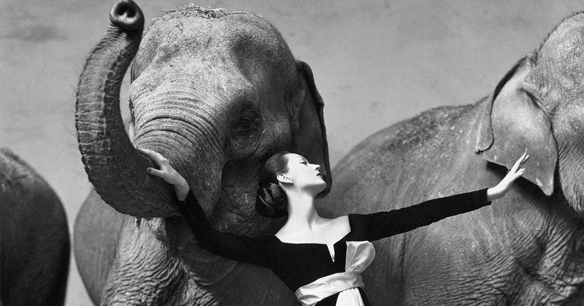 Richard Avedon’s Life and Masterpieces are Celebrated at These Two Exhibitions