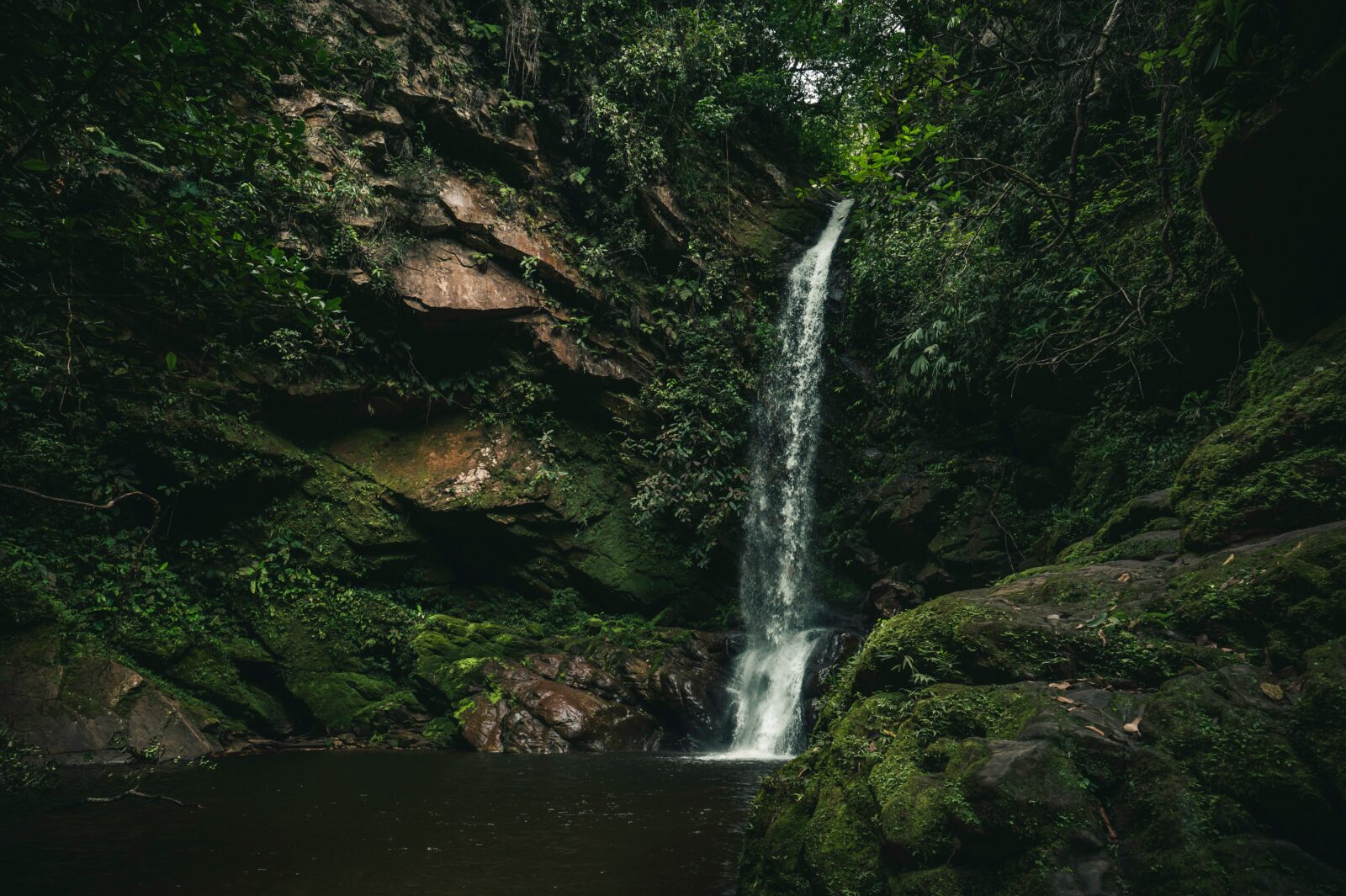 Exploring the Amazon: Expeditions of Old Civilizations In The Modern World